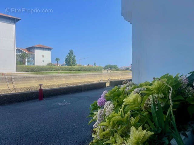 Appartement à CIBOURE