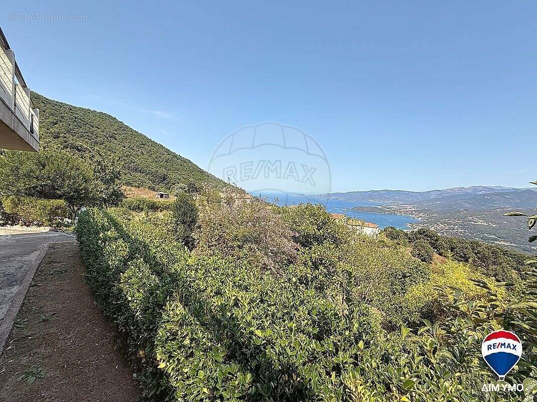 Maison à CALCATOGGIO