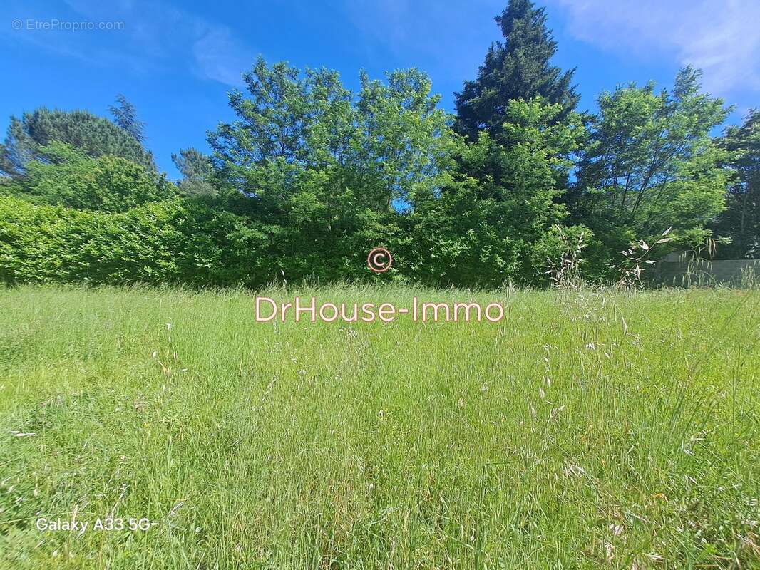 Terrain à SAINT-FLORENT-SUR-AUZONNET