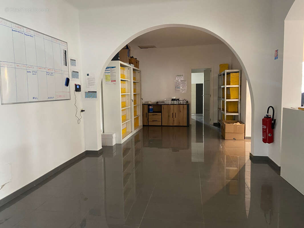 Commerce à VILLEMOLAQUE