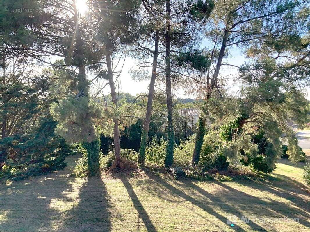 Maison à CHATILLON-SUR-INDRE