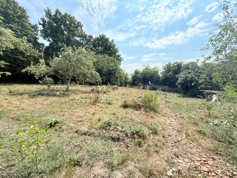 Maison à FRESSELINES