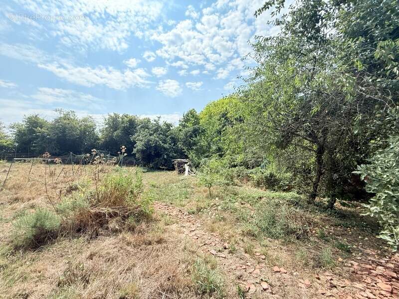 Maison à FRESSELINES