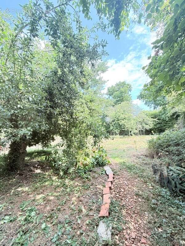 Maison à FRESSELINES