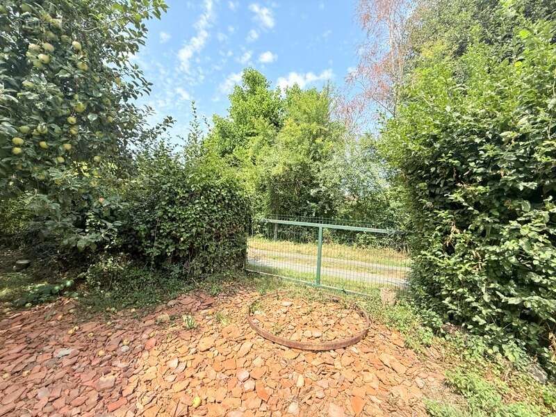 Maison à FRESSELINES