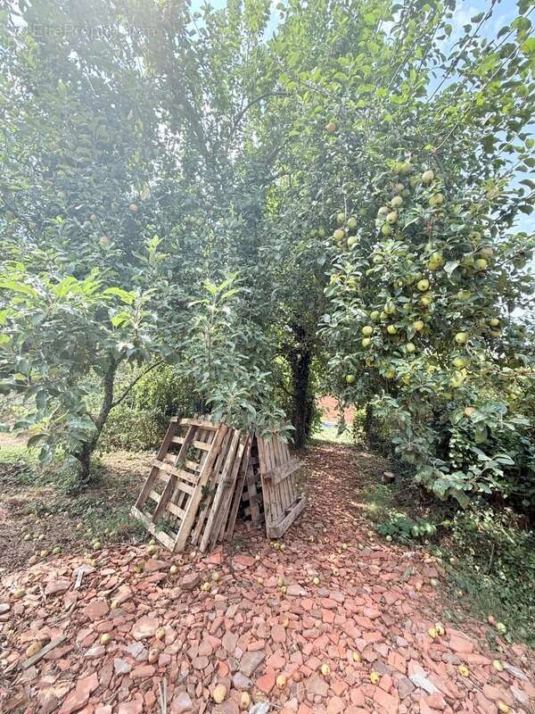 Maison à FRESSELINES