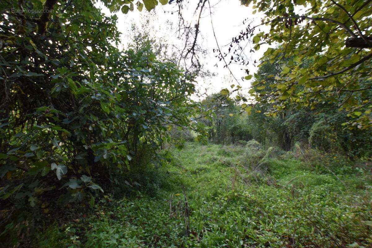 Maison à SAINT-CERNIN