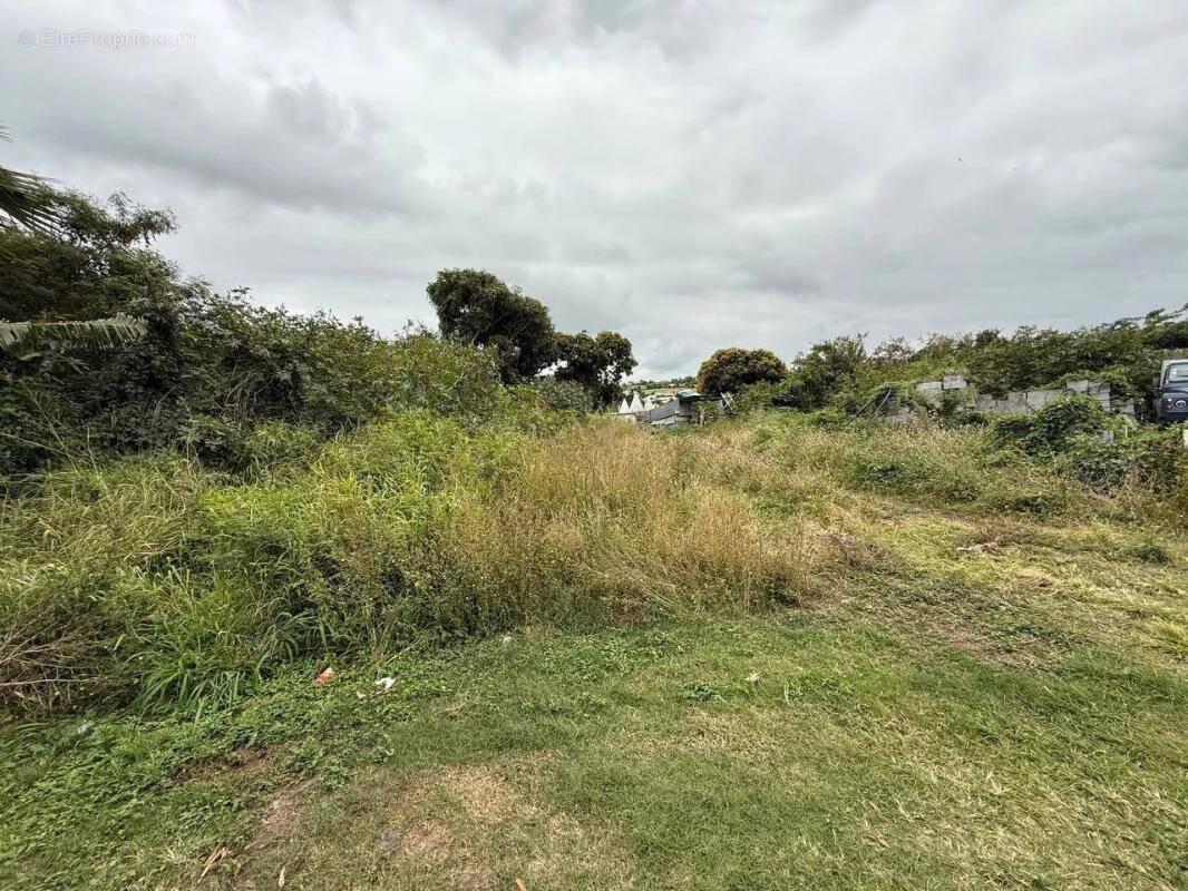 Terrain à SAINT-PIERRE