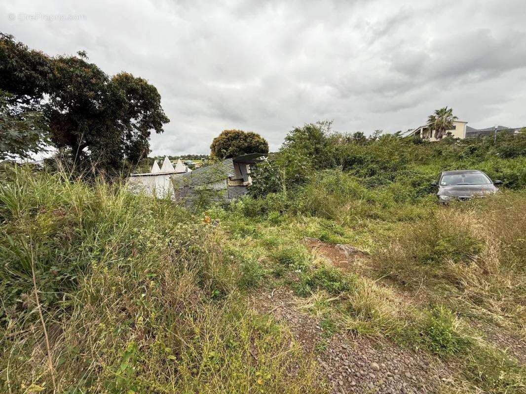 Terrain à SAINT-PIERRE