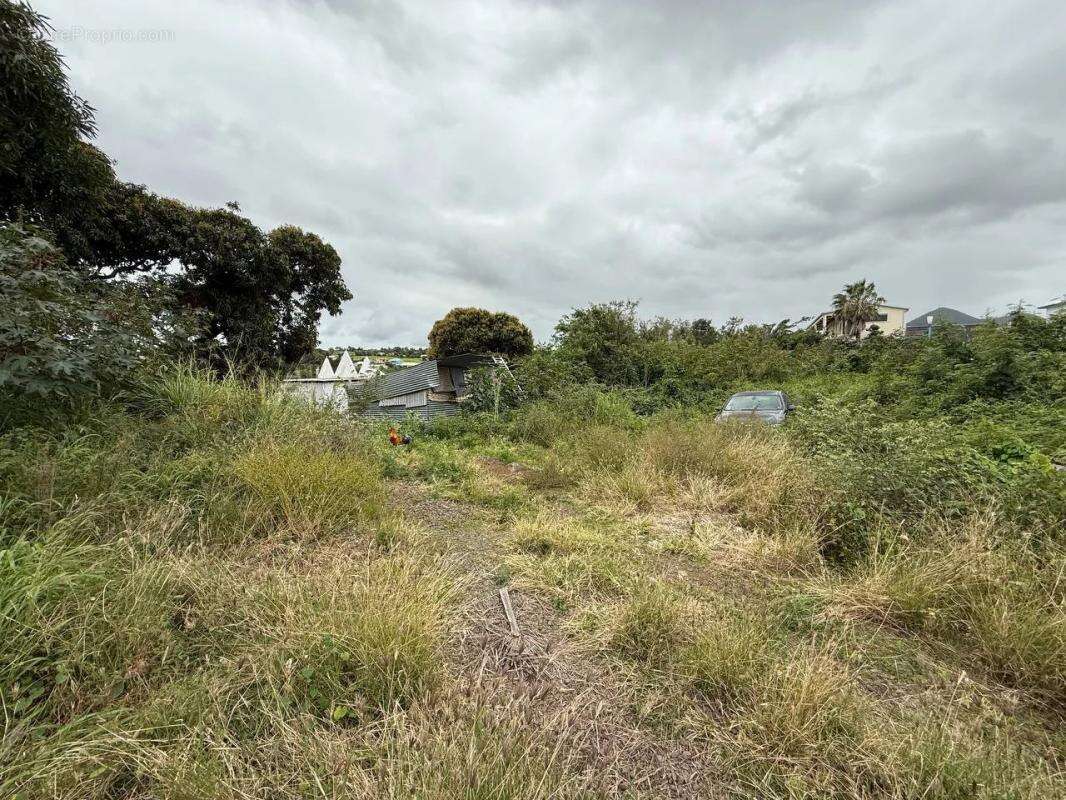 Terrain à SAINT-PIERRE