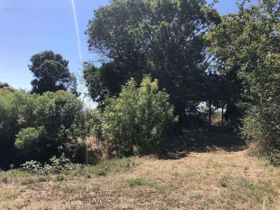 Terrain à JAU-DIGNAC-ET-LOIRAC