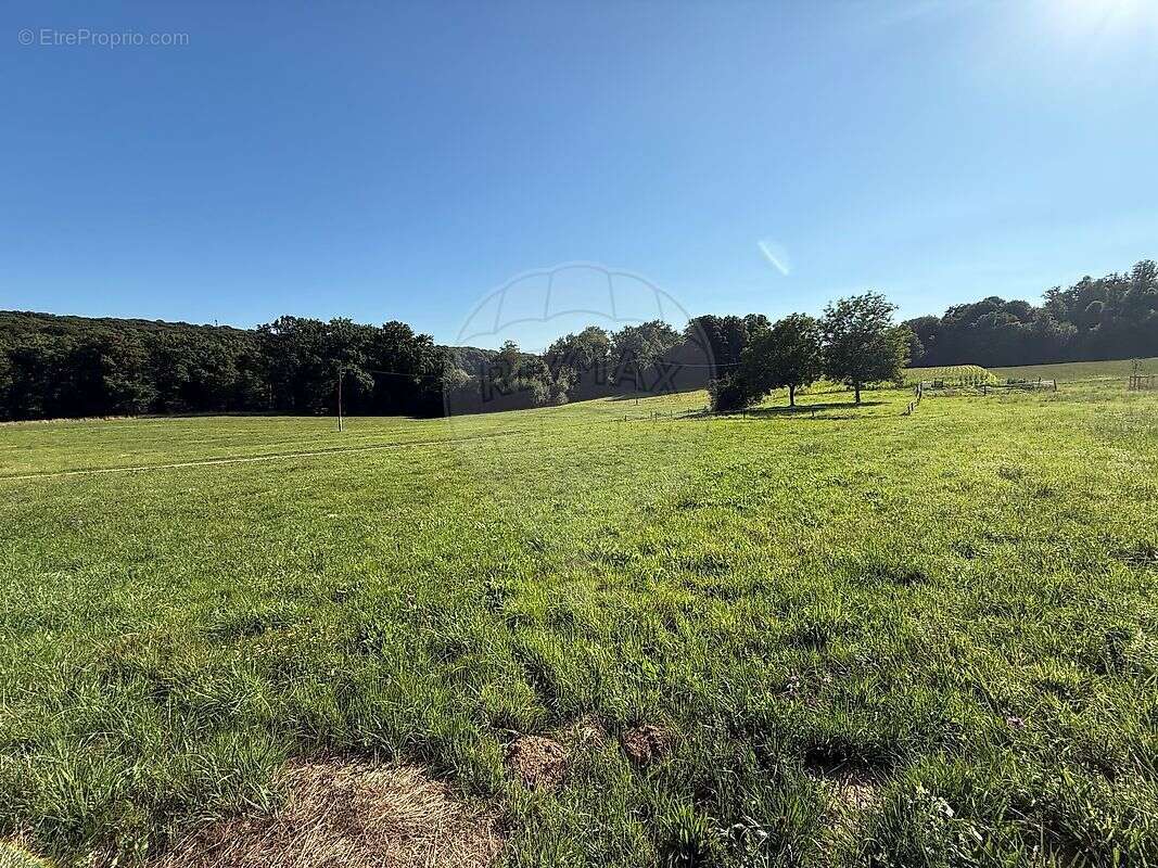 Terrain à STEINSOULTZ