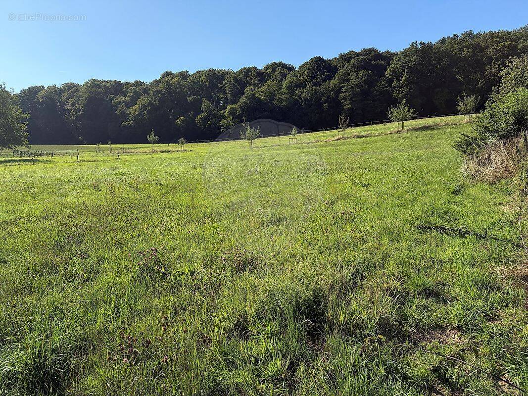 Terrain à STEINSOULTZ