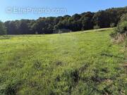 Terrain à STEINSOULTZ