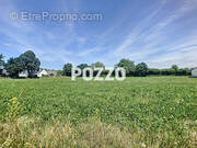 Terrain à SAINT-JEAN-DES-CHAMPS