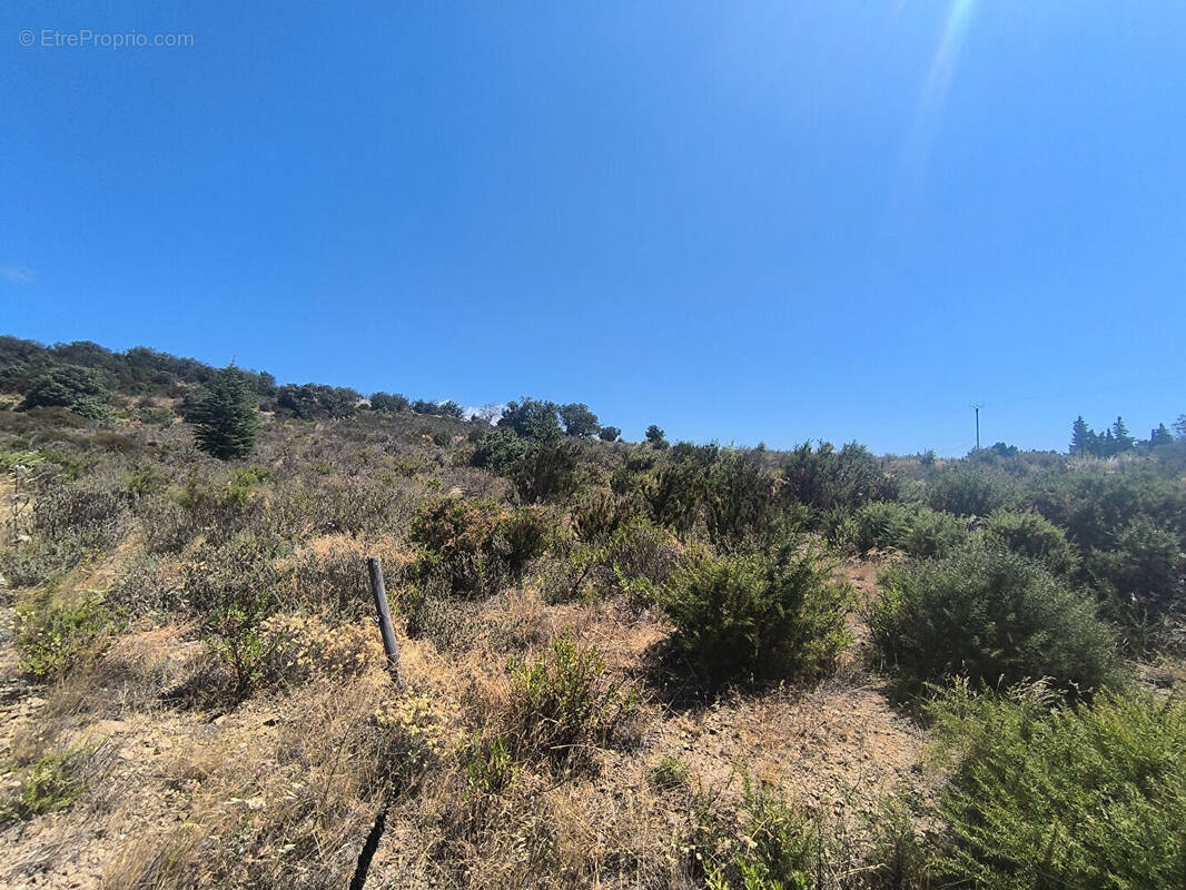 Terrain à BELESTA