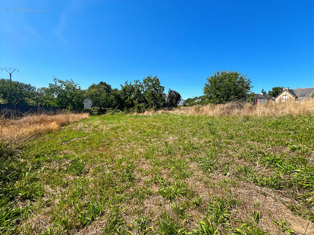 Terrain à TREMEVEN