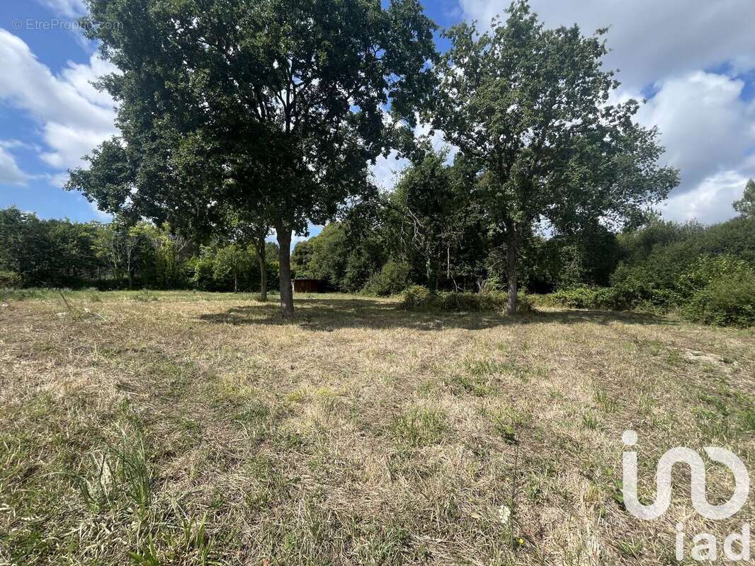 Photo 2 - Maison à RIANTEC