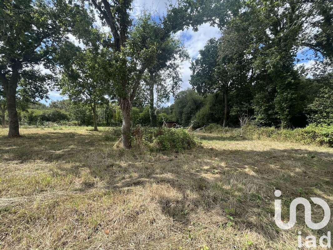 Photo 8 - Maison à RIANTEC