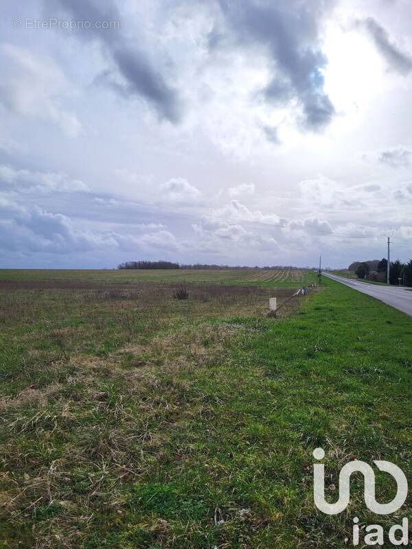 Photo 1 - Terrain à MONTCORBON
