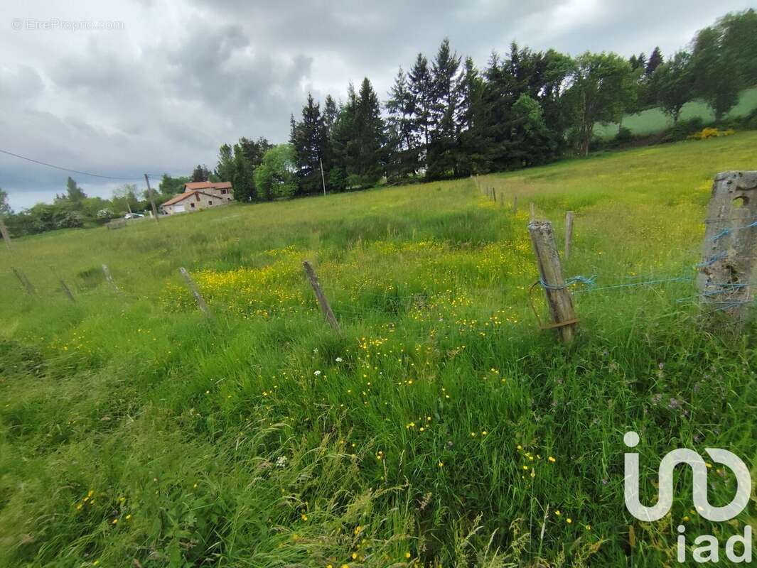 Photo 5 - Maison à APINAC