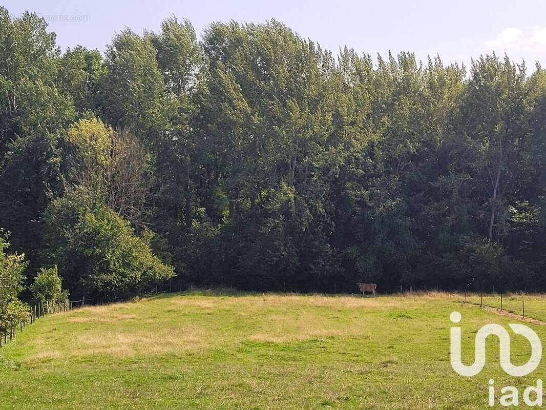 Photo 2 - Terrain à NEUVY