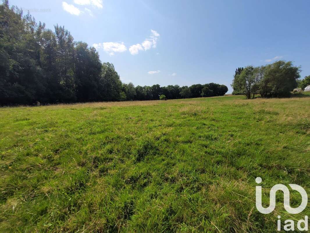 Photo 4 - Terrain à NEUVY