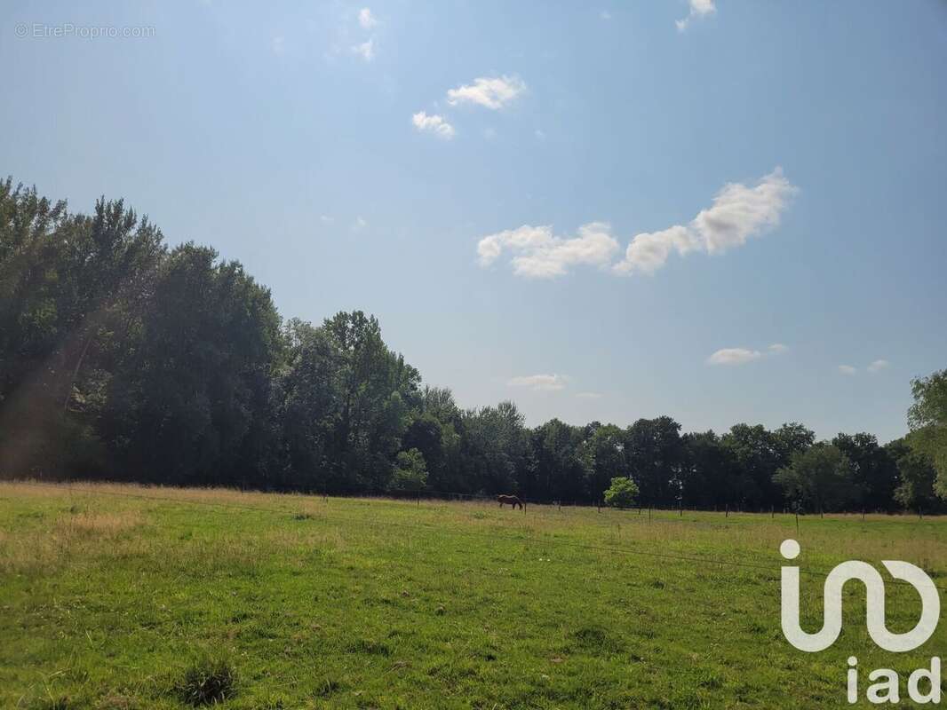 Photo 5 - Terrain à NEUVY