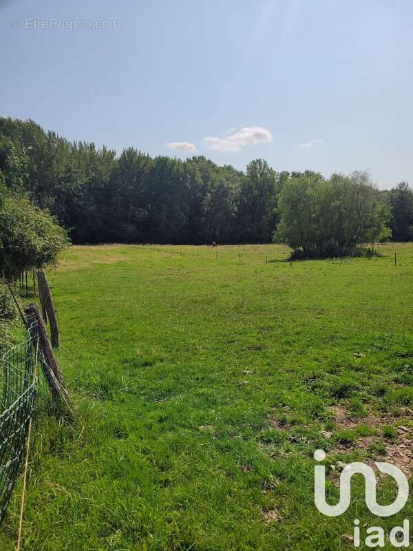 Photo 6 - Terrain à NEUVY