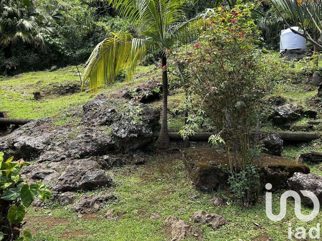 Photo 2 - Maison à PETITE-ILE