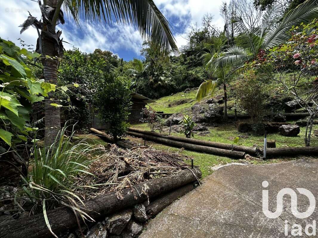 Photo 3 - Maison à PETITE-ILE