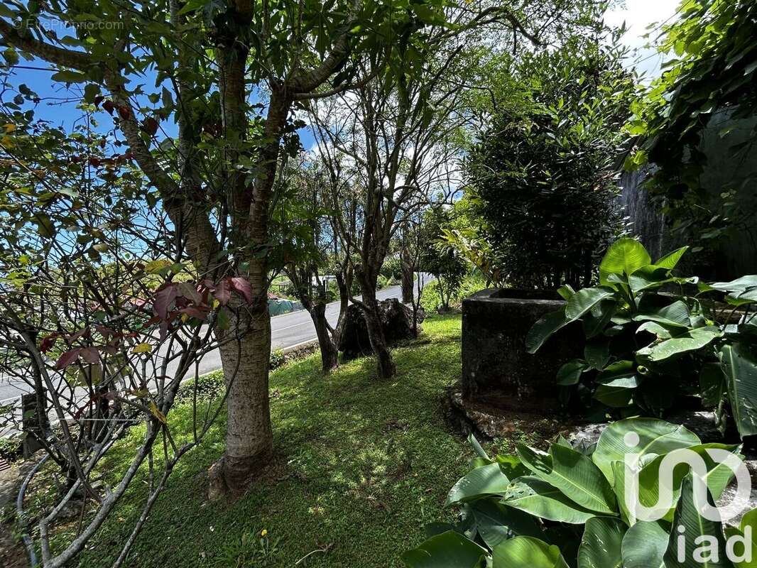 Photo 4 - Maison à PETITE-ILE