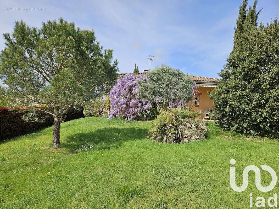 Photo 3 - Maison à SAINT-CLAR-DE-RIVIERE