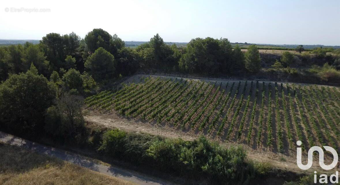 Photo 1 - Terrain à PAILHES