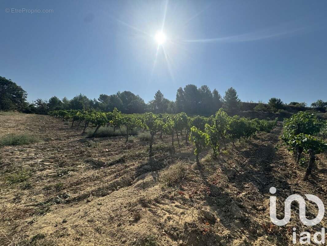 Photo 3 - Terrain à PAILHES