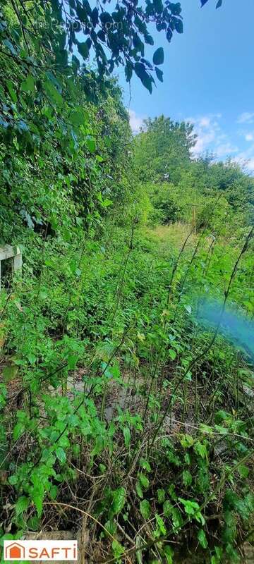 Photo 7 - Maison à PONT-SUR-YONNE