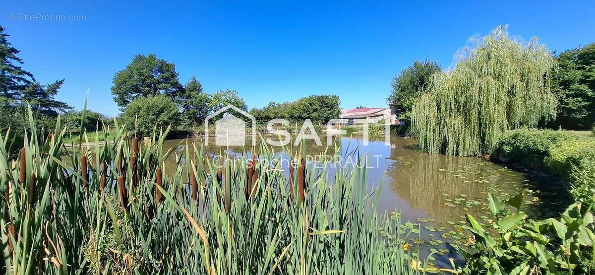 Photo 7 - Maison à CHOLET