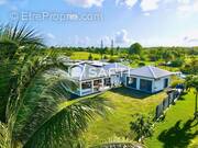 Photo 1 - Maison à LE MOULE