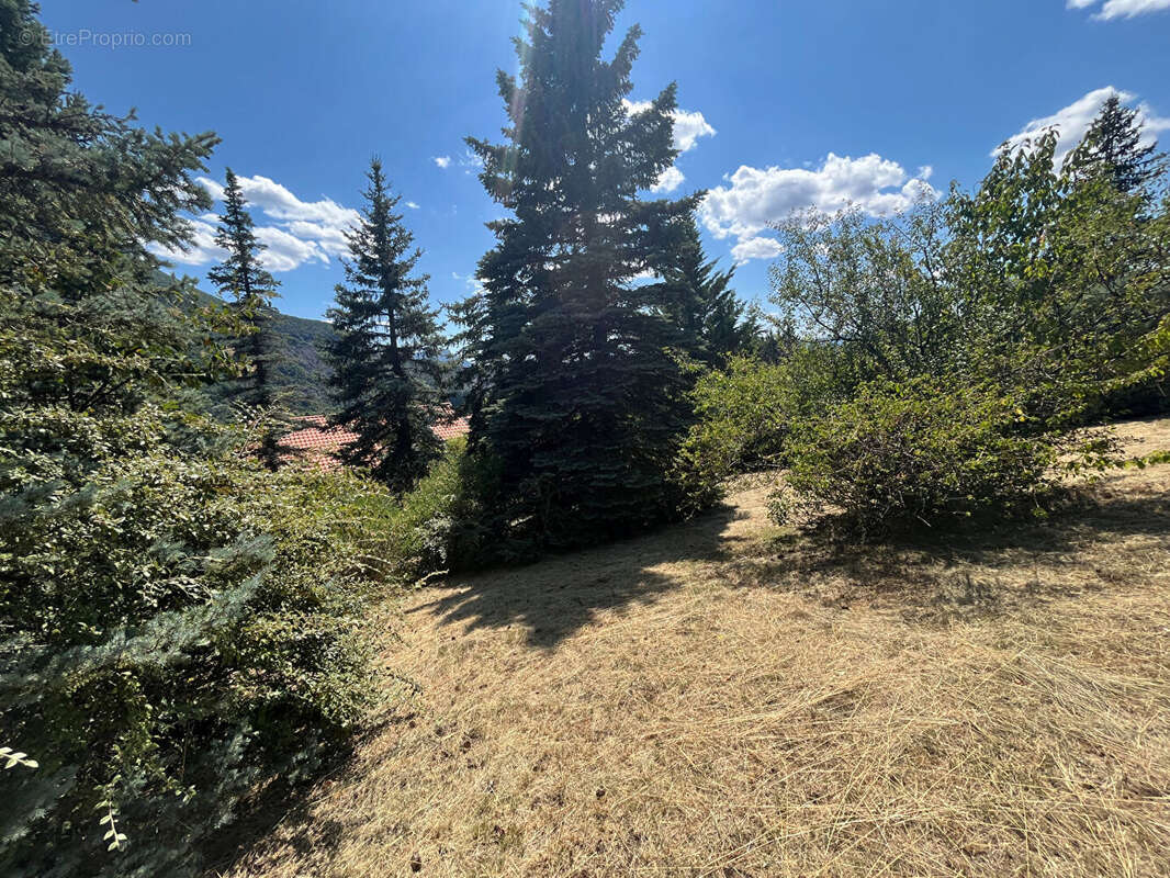 Photo 6 - Terrain à VEYNES