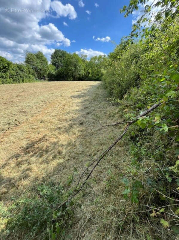 Terrain à LE VIGEANT