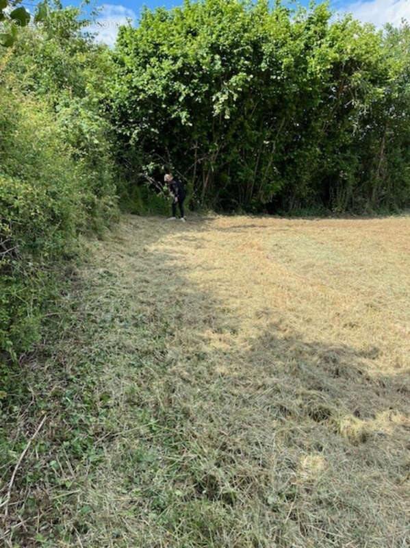 Terrain à LE VIGEANT