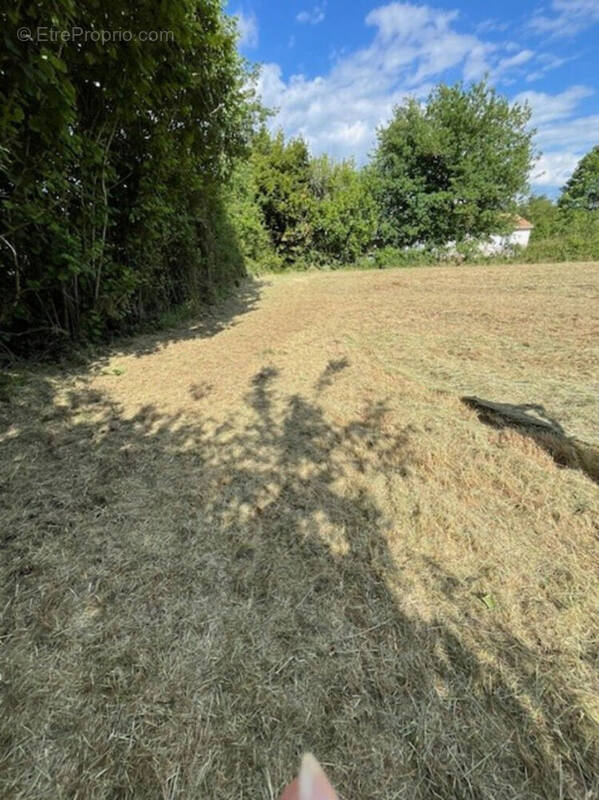 Terrain à LE VIGEANT