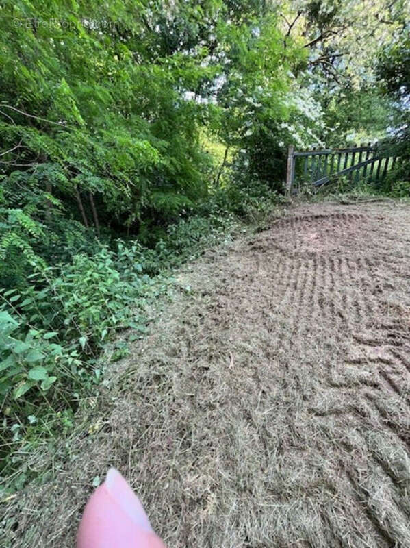 Terrain à LE VIGEANT