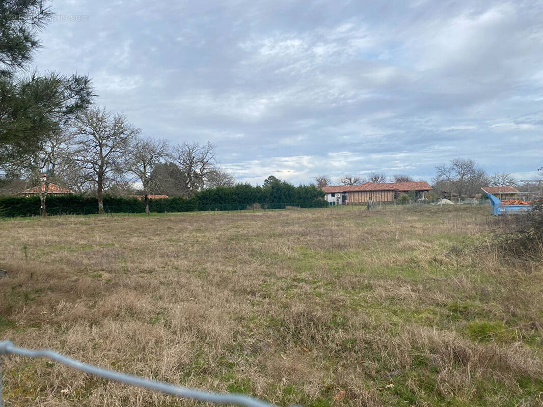 Terrain à TRENSACQ