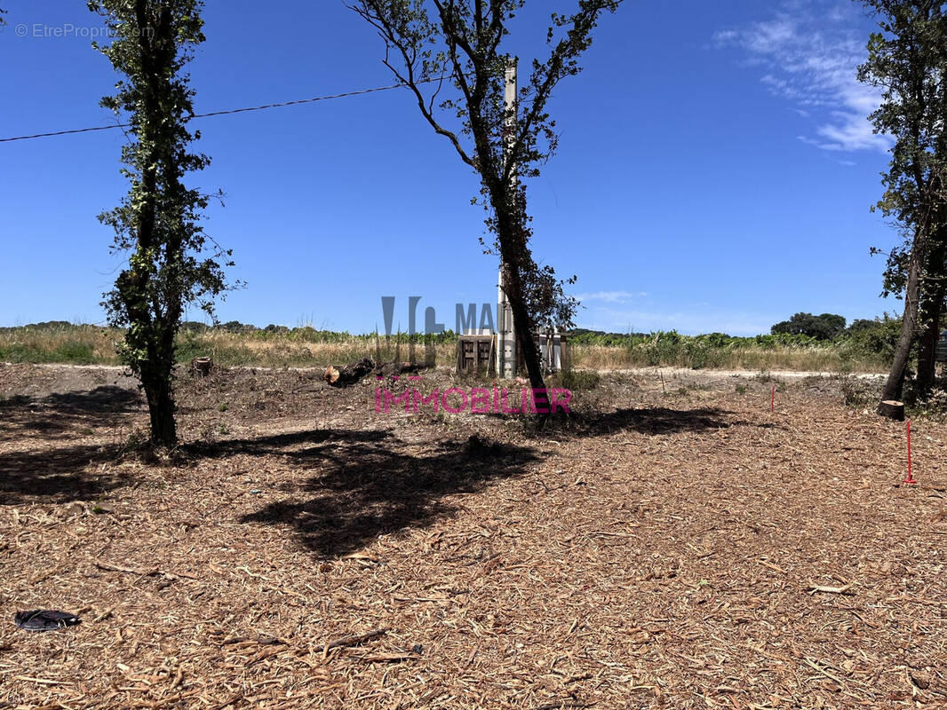 Terrain à BEDARRIDES