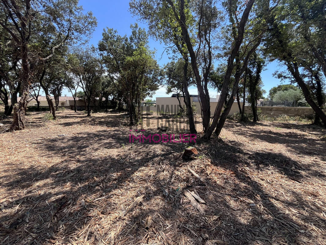 Terrain à BEDARRIDES