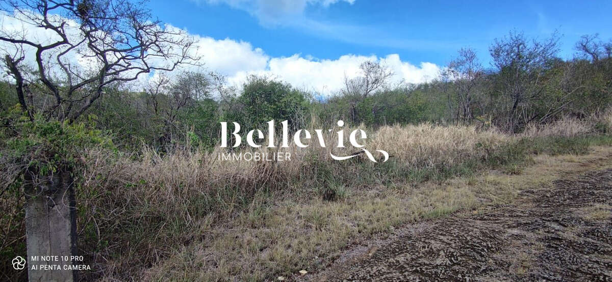 Terrain à BAILLIF