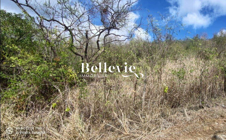 Terrain à BAILLIF