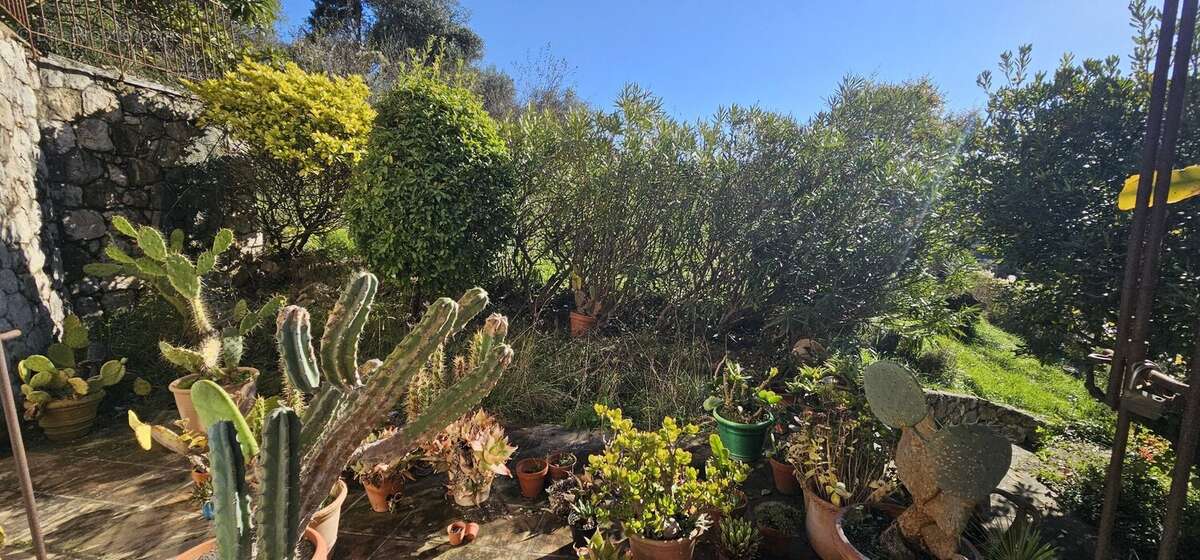 Maison à TOURRETTE-LEVENS