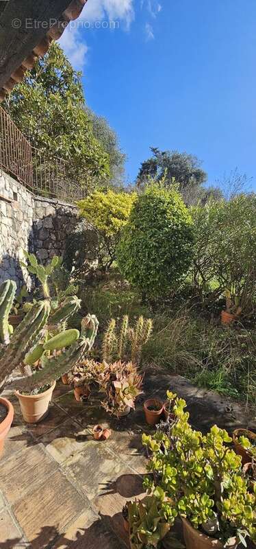 Maison à TOURRETTE-LEVENS